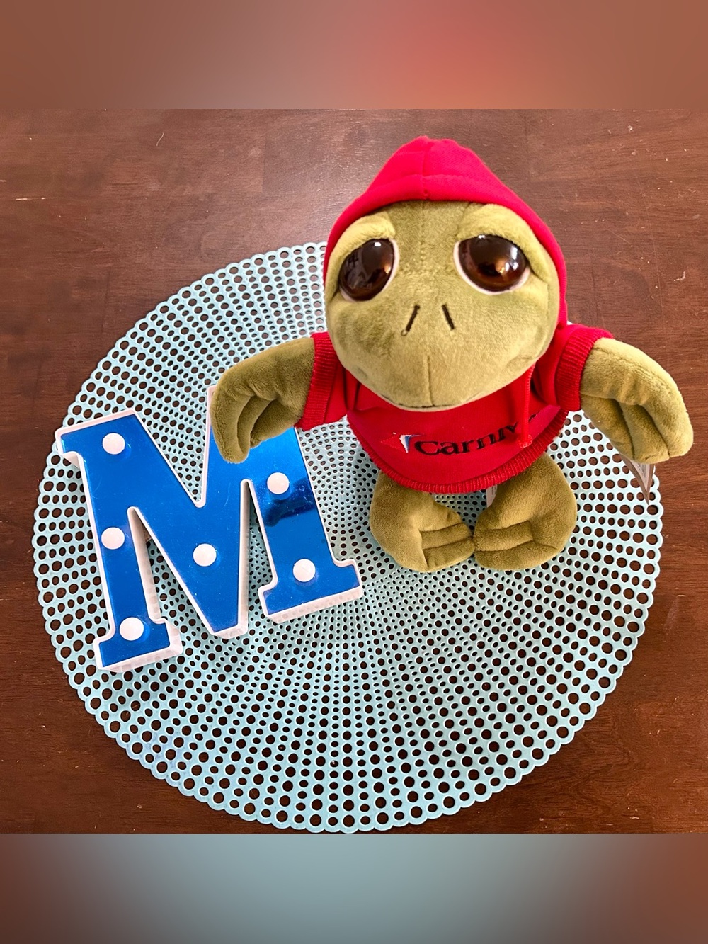 The Petting Zoo Sea Turtle Plush Toy with Red Carnival Cruiseline Hoodie